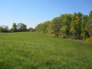 Field #4 in September