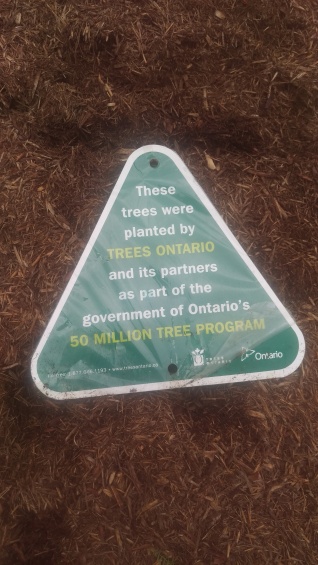 Our cooperation with Forests Ontario represented by a new sign at the farm