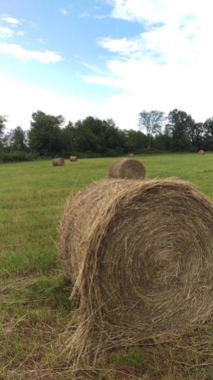 Harvesting and baling hay